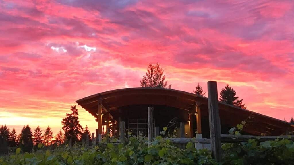 Photo credit @bluegrousewines on Instagram